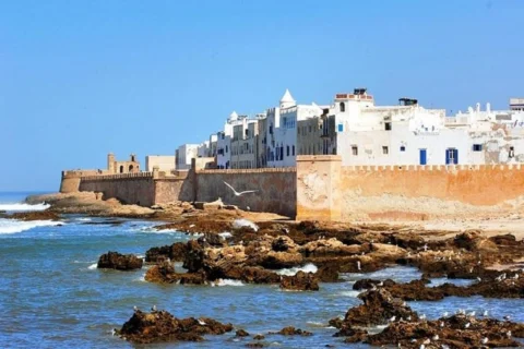 Essaouira : excursion depuis Taghazout