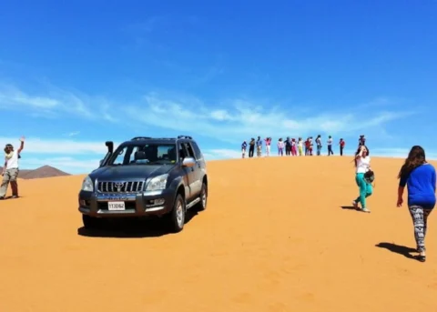 Mini Sahara : safari, déjeuner et dromadaire