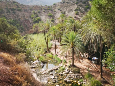 Paradise Valley : excursion demi-journée